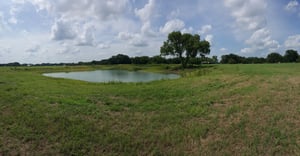 Ideal Pond Placement