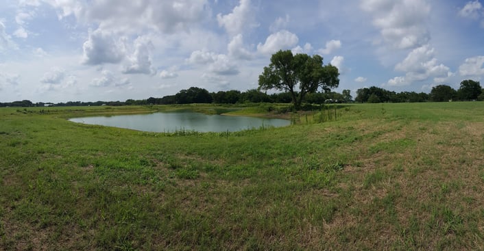 pond in the middle of a green pasture