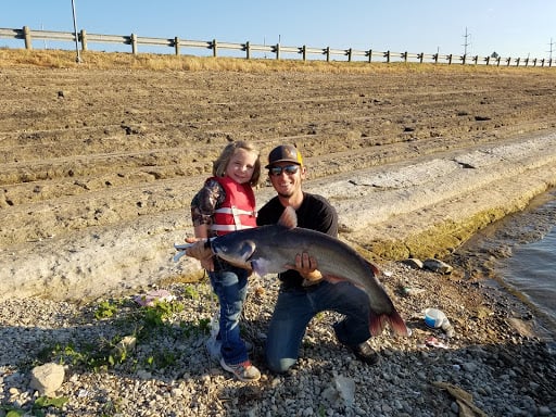 32in Bluecat caught on a jugline