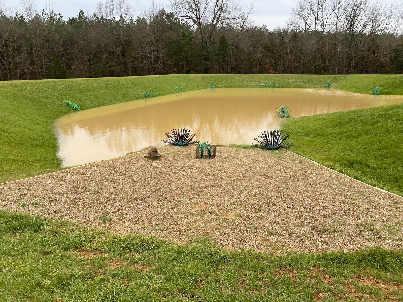 Pond Stocking 101 How to Stock a Pond