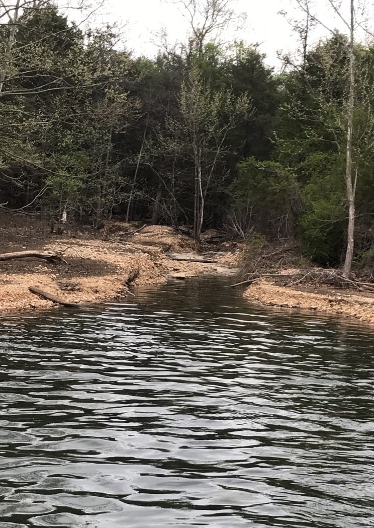 Back of a creek where bass push bait in the fall-1