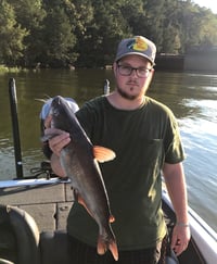 Man holding a catfish