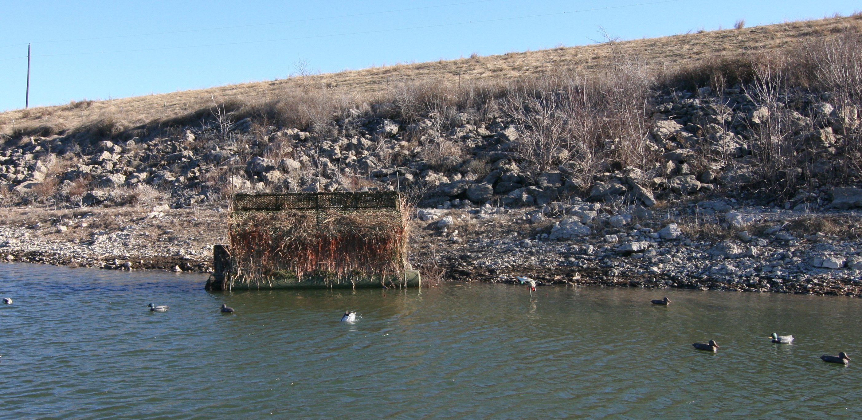 Duck Buster and Decoy Setup