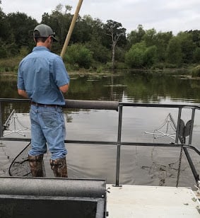 Biologist conducting an electrofishing survey