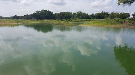 Fertilized pond