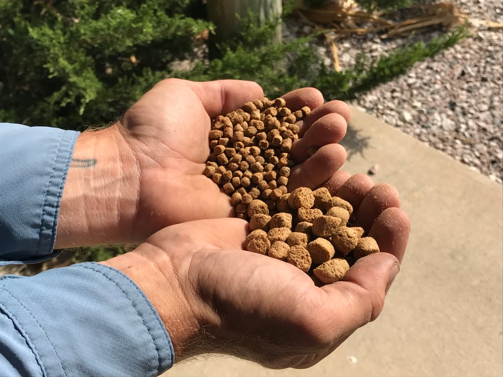 different fish feed pellet sizes