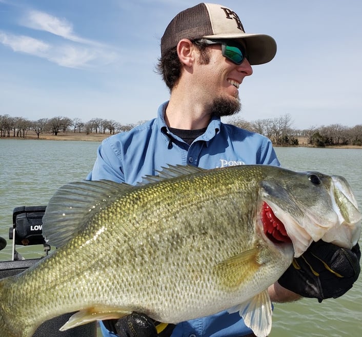 Pond Stocking 101: How to Stock a Pond