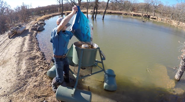 Measuring fish on electroshock survey