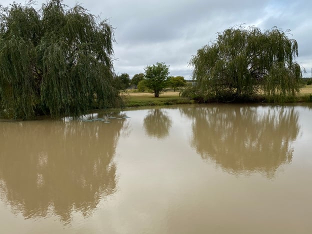 muddy pond