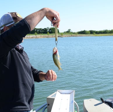 man-weighing-fish