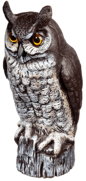 Great-horned-owl-decoy-1