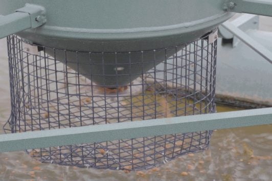 Floating Fish Feeder