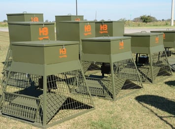 Wildlife feeders: 101