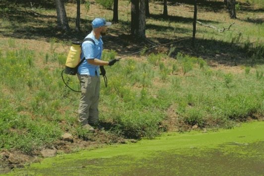 Chemical Weed Control for Ponds (Spray)