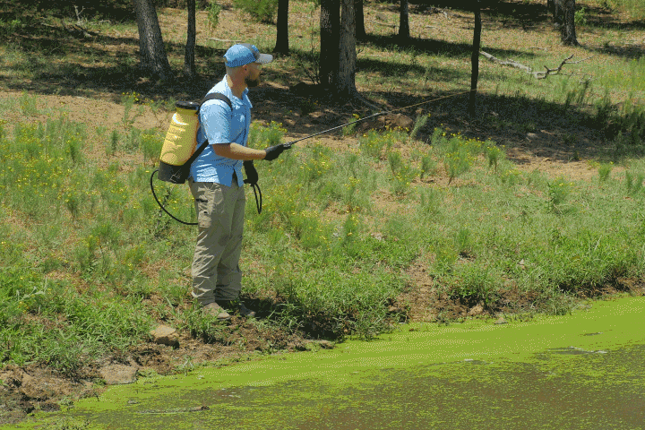 Sonar Spray Duckweed Control for Ponds