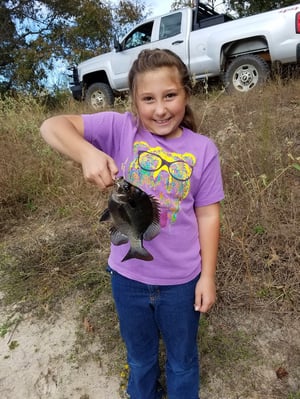 Large Bluegill caught on a private pond