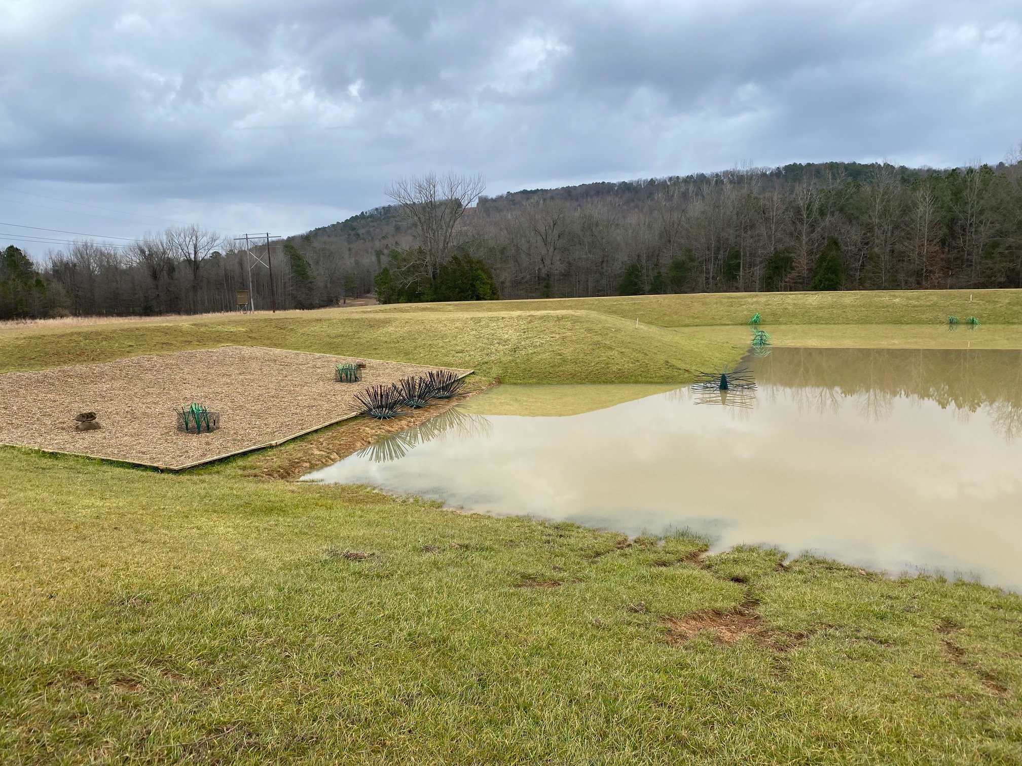 Spawning bed using natural and artificial habitat