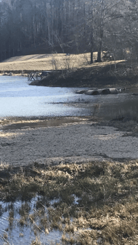 Sand Spawning flat in new lake 