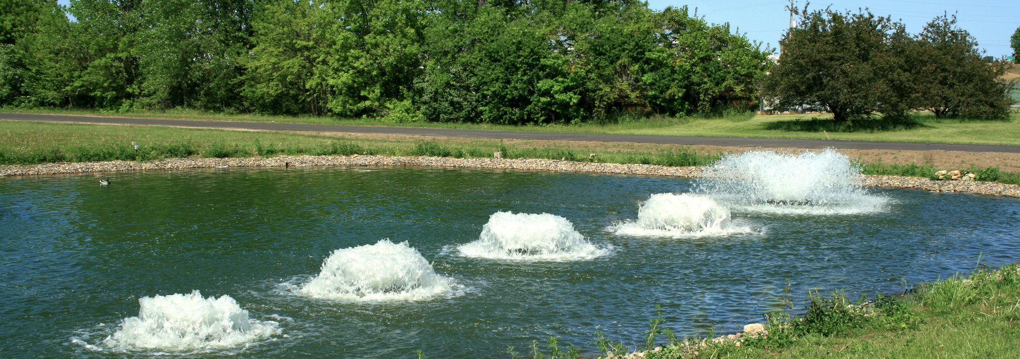 Types of Pond Aerators and Their Maintenance