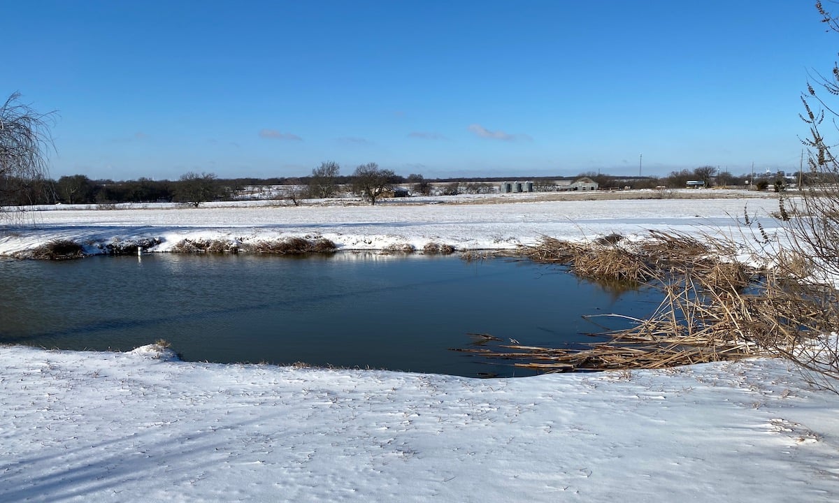Texas-Pond-in-Winter