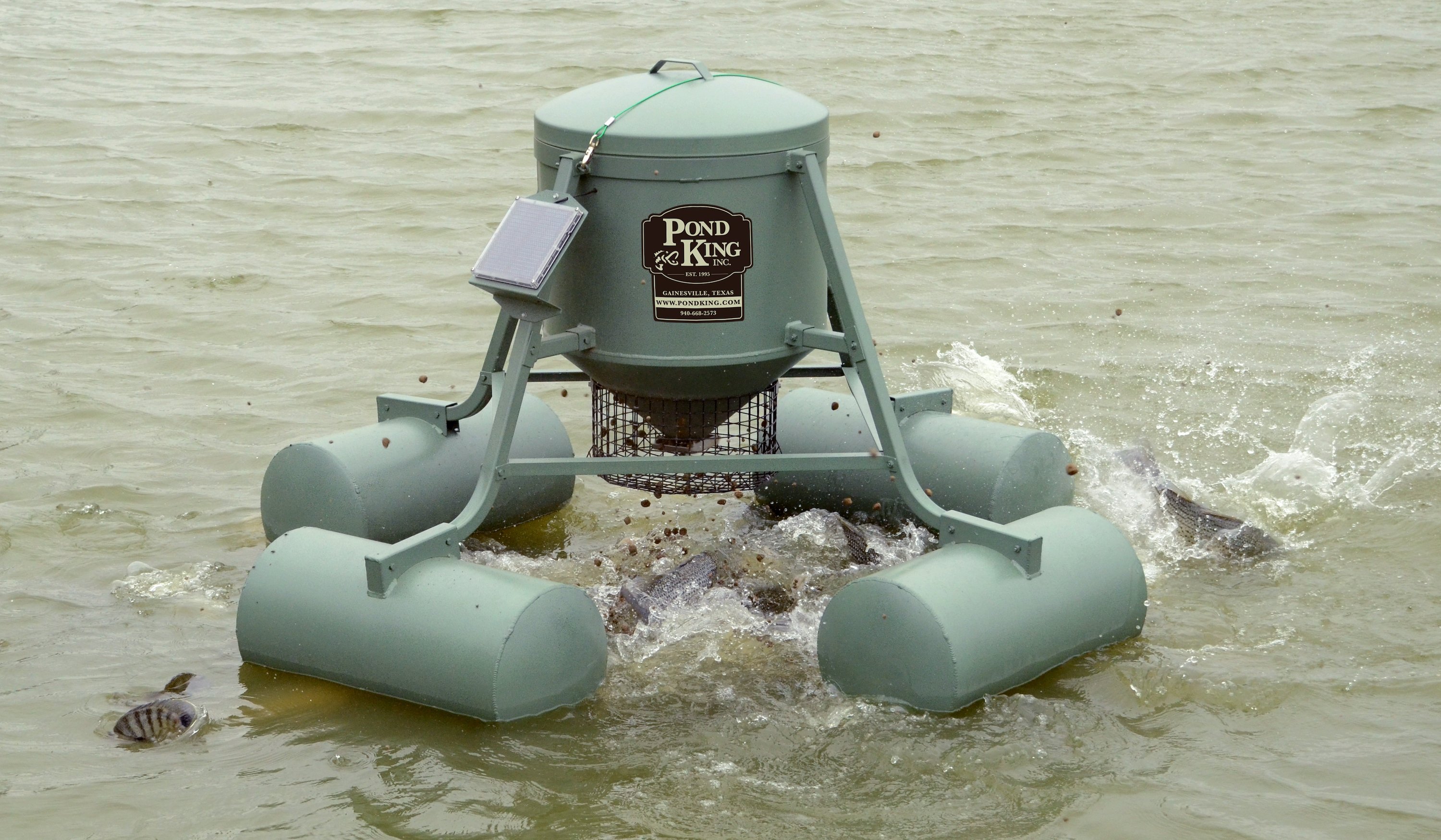 Pond King Floating Fish Feeder