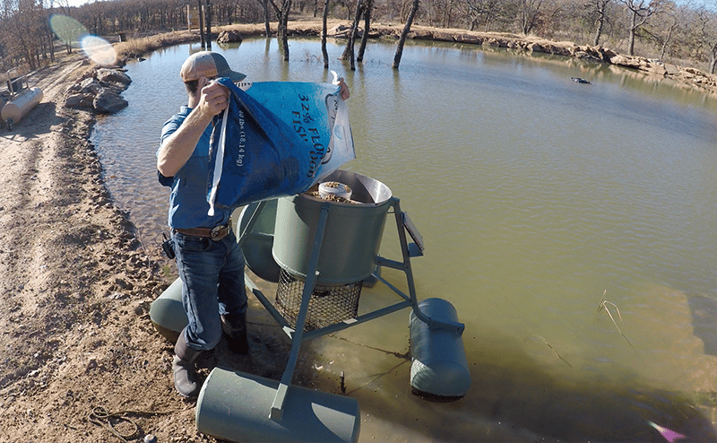 Filling floating fish feeder