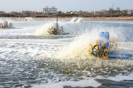 fish-farm-waterwheels