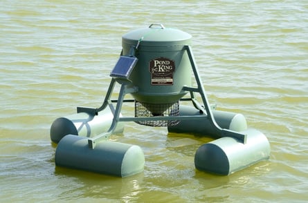 Floating Fish Feeder