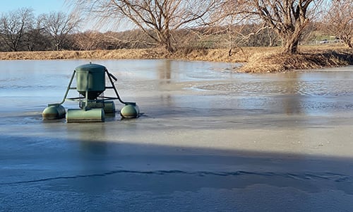 frozen-pond-with-fish-feeder