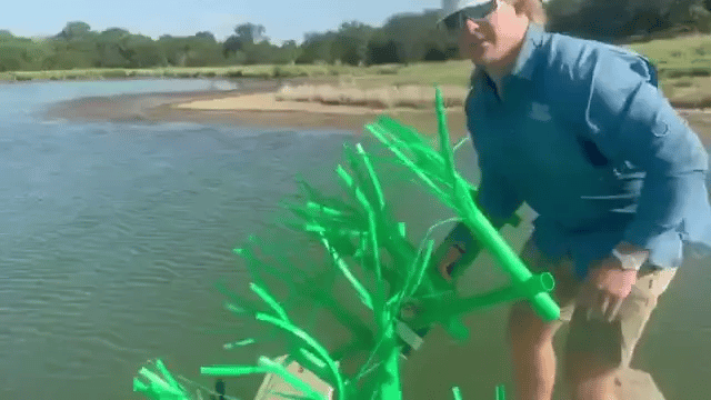 installing_grass_bed