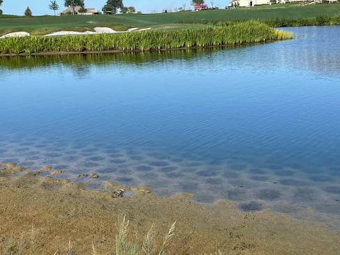 natural-spawning-beds