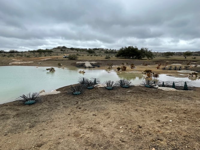 new-pond-habitat-installation