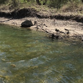 water that is too clear