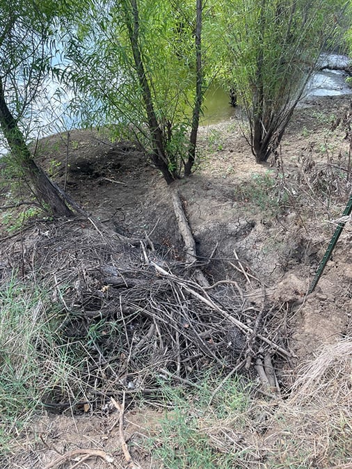 Nuisance Wildlife Why Otters, Beavers and Muskrats are Bad for Ponds