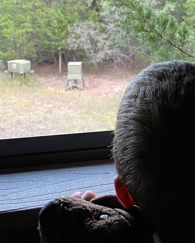 Boy inside deer blind looking out